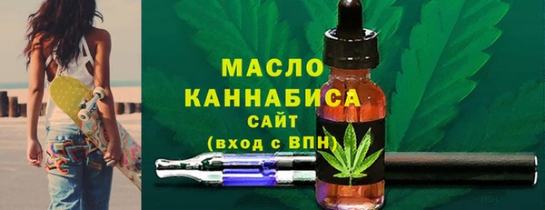 индика Арсеньев
