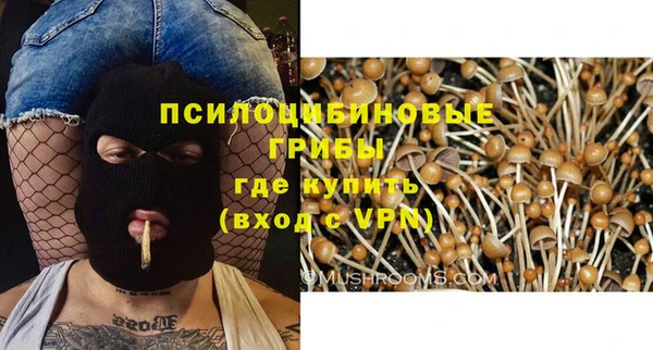 MESCALINE Аркадак
