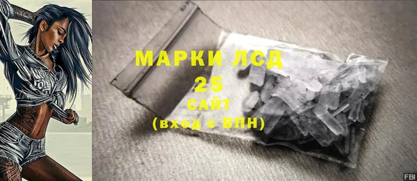 индика Арсеньев