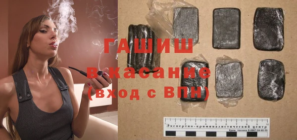 индика Арсеньев
